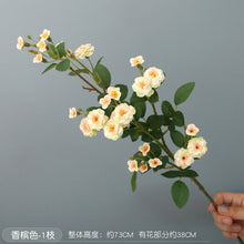 d450243af43c54a7d40739192077e2a1