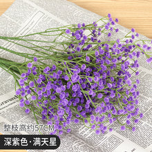 9b5f2615a6d049159d57e23847c9fc60