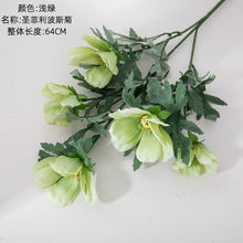 16f4441d8b61bbde32d1d83f455275d4