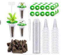 1b2463a269a0eafb80a29ff18e703db4