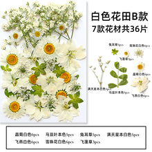 7752a2854bb7e9e91a8eb7f3f320a5b6