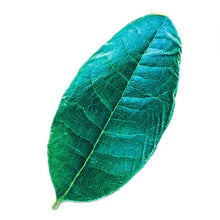 6c362a24cc733719d3ece5eba2c2d6c5
