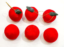 973d5f1f08912a2fa59dcae45a6a1992