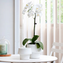 f57a0588b545dcaef54cab8886dfaea5