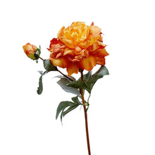 a170a1f1fddf042fe8d0fd3082d63d69
