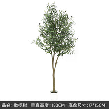 17afd81cb4a9b32ac05c1025f55cbab3