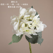 2a120ff673c5a635023b85b76a4b7640