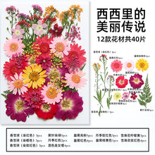 08c8275ebc27e7176073eb9766bcf22f