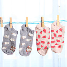 dafb90d0d3f192c8c2d3dd176641235c