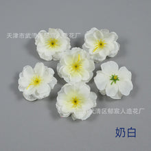 336ea21f4a1fb3ca2e084dc41d8fb938