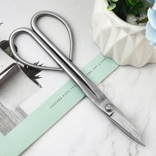 1e02ab36ed269534e24e0f51897af2ee