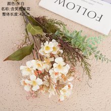 d7cc48b8748bb8d29ba88c76c9acc30e