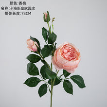 21a79882dbd2e6884b4c6bc53bbb80ab