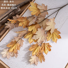 092187d4617cf3b5ebc1a2f4f2d9935f