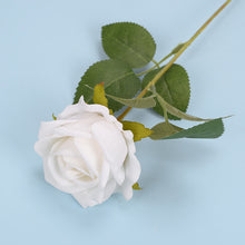 52b22a4fb0e81dbfd8414514d0c93d38