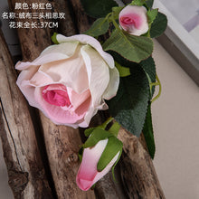 8ff98d4db3636be523bd80637b27eee9