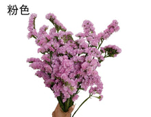 d1852cce78c0457abc6271acdefe9b9a