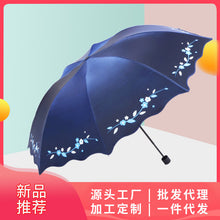 c6241cc81075a9d569a77e6d60d2c11c