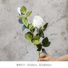 6e33cce76245dbf9b7a69aaa035fe93a