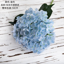 d3f96ad385945329d1c719c8cbd002f2