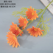 d00fa8aea89929707aa4fcd42dcc8b30