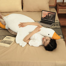 cba76ab1269fb322a225fed39ba415f6