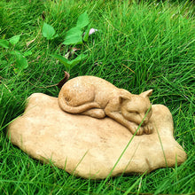 898f7581dea4564c0cedebbf6a20ba07