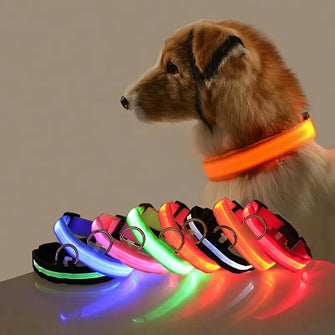 LED Glow-In-The-Dark Pet Collar For Small And Medium Dogs - Keep Your Pet Safe And Visible During Night Walks